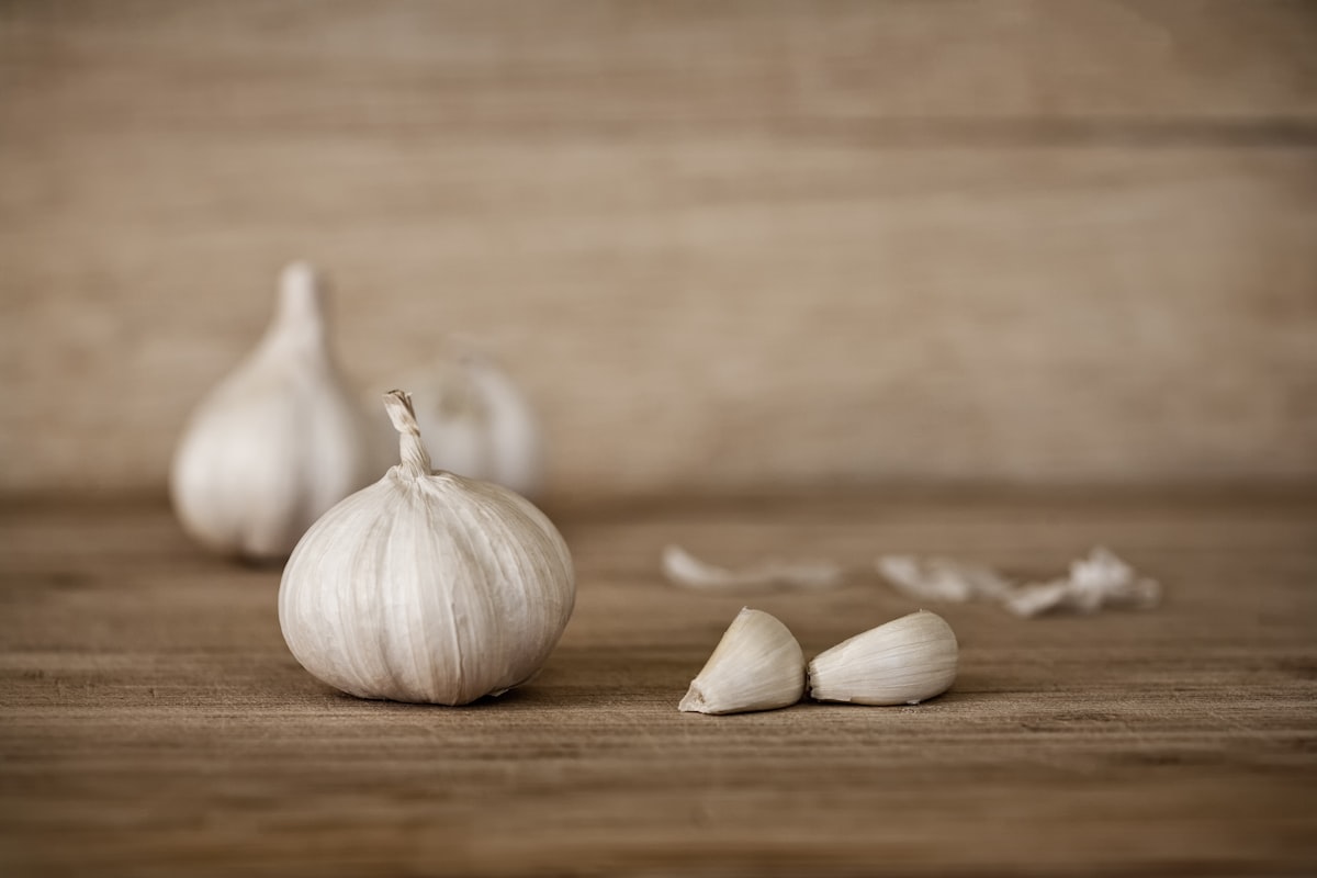 Agliata ricetta medievale